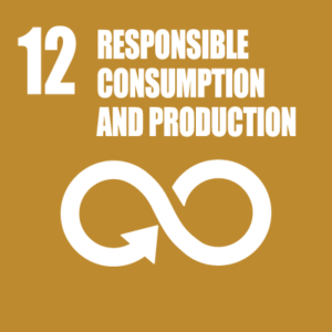 Responsible consumption and production